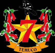 Escudo Cia copy1.jpg (23961 bytes)